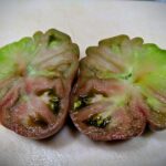 Cat-faced Tomato, Berkeley Tie Dye